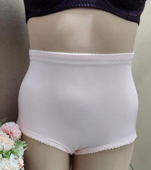 Lisa's Lacies Rosemary Control Briefs - 3 Colours - Image 3