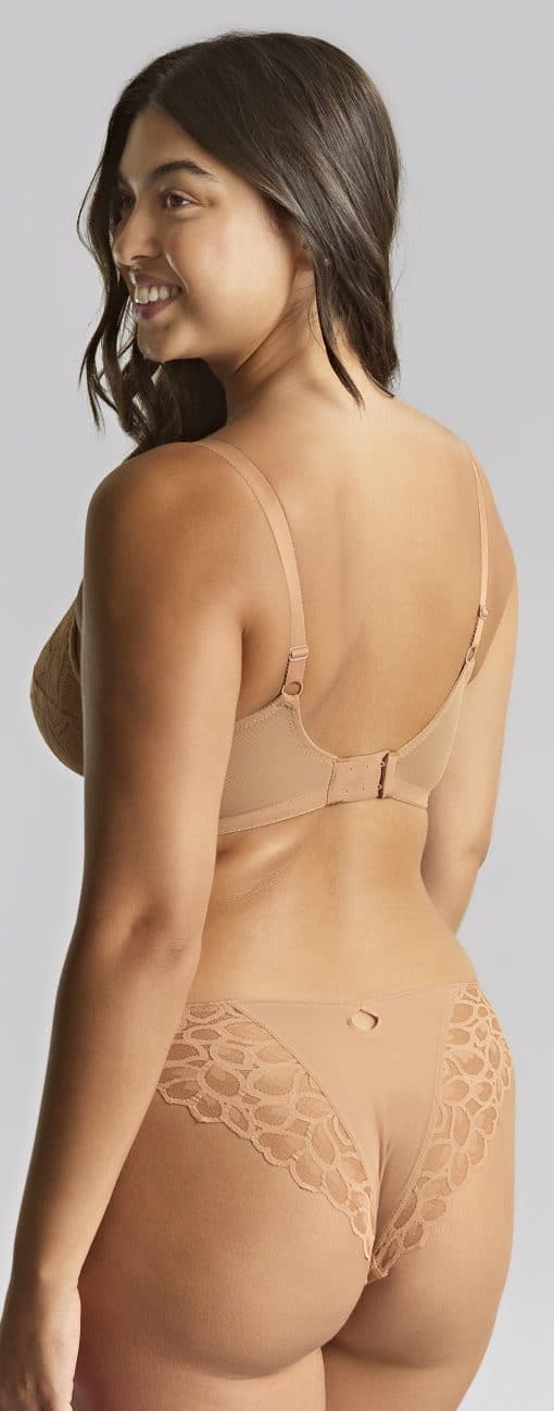 Panache Allure Brazilian Brief -3 Colours - Image 3
