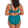 Elomi Zarla UW Bra - Ocean Depths - Image 4