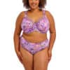 Goddess Kayla UW Bra - Lotus - Image 3