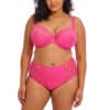 Elomi Charley Stretch Plunge Bra - Hot Pink - Image 2
